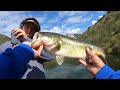 SPRING BASS FISHING IS HERE || 30 FISH BEFORE NOON