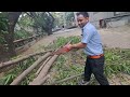 Tree Khatar Kam || Assam Vlog || Saharul Azad