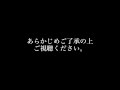 【柴犬】アカ（出産経験あり）のお腹の異変を発見しました【⚠️閲覧注意】