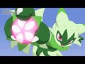 Sprigatito evolves into Floragato | Pokémon Horizons Episode 45 [ENG SUB]