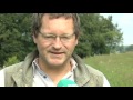 Rotmilane in der Eifel: Wissenschaftler untersuchen Lebensbedingungen