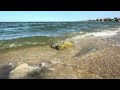 we relax with the sound of the sea   #amazing #india #america #memes #rek #reels #viral #shorts