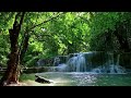 Ambient sounds + JAZZ Gentle Forest sounds Relaxing work/study CAFE MUSIC - BGM for work☕