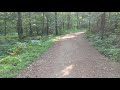 Spaziergang durch den Wald(5)