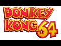 Donkey Kong 64 - Fungi Forest Night