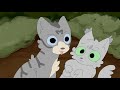 Jayfeather finds the fourth cat