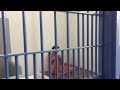 Nyanyi dalam penjara - Wanns Ahmad