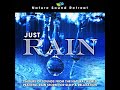 Just Rain: 2 Hours of Sounds from the Natural World Peaceful Rain Storm for Sleep & Relaxation