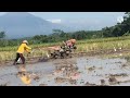 PERSAHABATAN KERBAU BESI - BURUNG KUNTUL