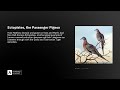 Ectopistes, the Passenger Pigeon