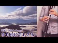 EWI SOLO Cover: また君に恋してる(坂本冬美)