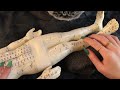 ASMR Full Body Tap & Scratch On The Acupuncture Doll! No Talking