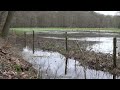 Hoog water 2023 | Water stroomt vanuit sloten de weilanden in!
