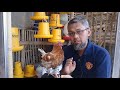 Rangkuman Rahasia Pakan Ayam Petelur dari DOC hingga Afkir untuk 100 ekor - Semi Fermented