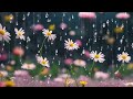 Relaxing Rain Sounds | White Noise | Fast Asleep | Calming | ASMR