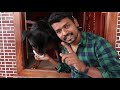 RAMBO'S UNKNOWN FACTS | MY OLD DOG'S | Q and A | TAMIL | Parthi Vlogger