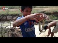 Amazing Deep Hole Snake Trap - Smart Boys Catch Snake Using Deep Hole Snake Trap