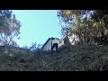 blackberry cutting in time lapse