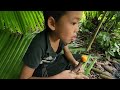 The orphan boy went to the forest to cut down trees to make a small house/ Lý Đăng