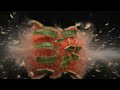 6 Minute Timer BOMB 💣 Huge Watermelon Explosion 💥🍉