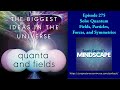 Mindscape 275 | Solo: Quantum Fields, Particles, Forces, and Symmetries