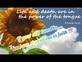 Declarations that will transform your life forever | Receive Gods blessings #jesus #viral