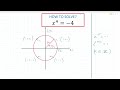 How to Solve This Exponential Equation? | Mathemagic | Calculus