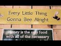 Every Little Thing Gonna Bee Alright #short #beekeeping #honeybee