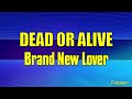 Dead Or Alive - Brand New Lover KARAOKE