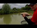 Live Fishing Match Manor Farm Swilland #matchfishinguk