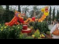 新加坡滨海湾花园龙年2024大丽花之梦/Singapore Gardens by the Bay 2O24 CNY Dablia Dreams