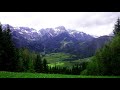 Refreshing Rain Sounds | DEEP FOCUS | Study & Concentration | RELAXED MIND | Nature Sounds