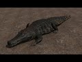 The Isle: Deinosuchus Crawl