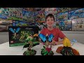 LEGO Build & Review: LEGO 21342 LEGO Ideas The Insect Collection