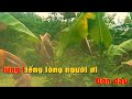 KARAOKE : B.Hát  Xin Em Đừng khóc Vu quy. ST.Minh  phương. YouTube karaoke 93 Bình Phước