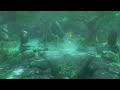 Tears of the Kingdom | Korok Forest | 1 Hour Relaxing Zelda Ambience Sounds ASMR