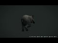 theHunter: Call of the Wild-  Killed 2 deers and 1 black bear