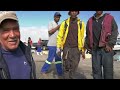 Vlog 03 - Snoek and the community/Typical day in st helena bay harbor when its snoek season.