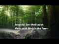 Embark on a journey with Zen music intertwined with the melodic ambiance of birds in the forest
