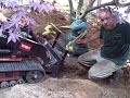 How to Transplant a Tree or Shrub | Newtown CT Landscaper - Landscape Designer