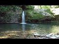 FOREST CREEK NATURE SOUNDS | CALMING CREEK AMBIENCE - RIVER WATERFALL AND BIRDS SINGING