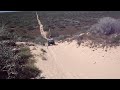 Blowholes, Carnarvon:  Grizzly towing gutless Honda & trailer.MP4