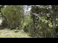 Touring Arcadia Farm -  Video 3