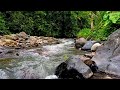 The river water flows calmly for Therapist insomnia | Water sounds for sleep in 10 minutes