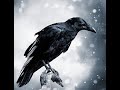 The Raven read by Zak Rosenfeld