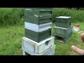 Doing More With Less: Treatment-Free Beekeeping With The ZEST Hive (and introducing the James Hive)