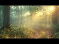 Tranquil Escape: 3-Hour Relaxation Music for Stress Relief & Healing