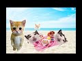 Meme Cats by Cheska (First Video Editing Project at the Age of 5)