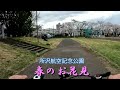 日本の「春のお花見」所沢航空記念公園（2の2）