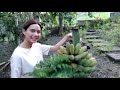 First Harvest of the Year | Erich Gonzales